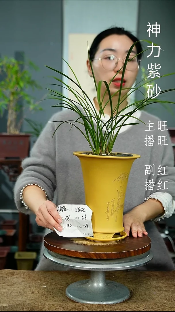 紫砂花盆845+Z紫砂花盆紫砂