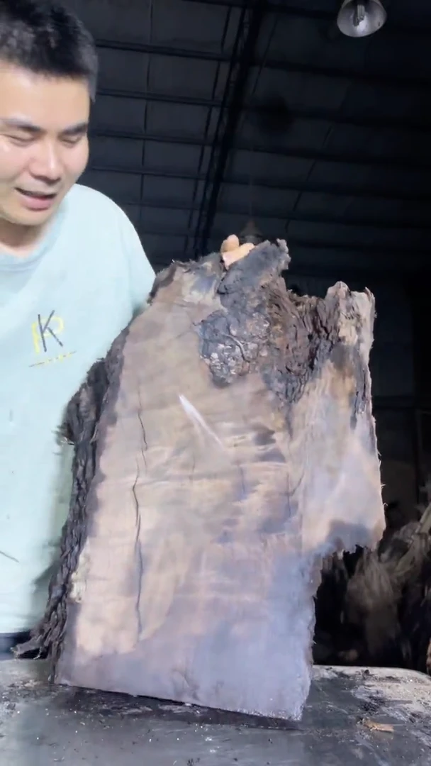 金丝楠27金丝楠小叶桢楠