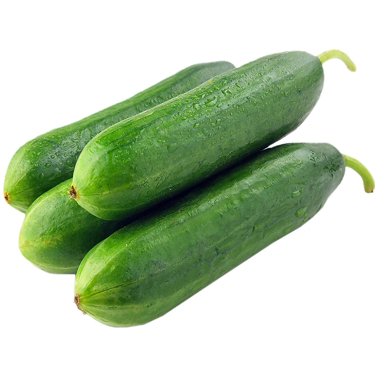 水果黄瓜新鲜时令黄瓜