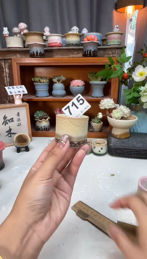 瓷片宇**蛋715知木小芳花盆