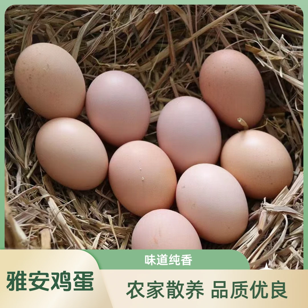 雅安谷物饲养鲜鸡蛋 无抗生素无添加口感纯香 产地直发