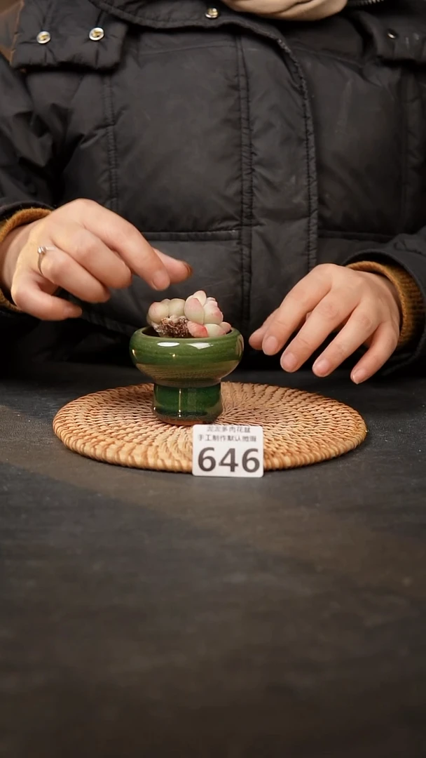 【闪购商品】瓷片646泥泥手工花盆口5