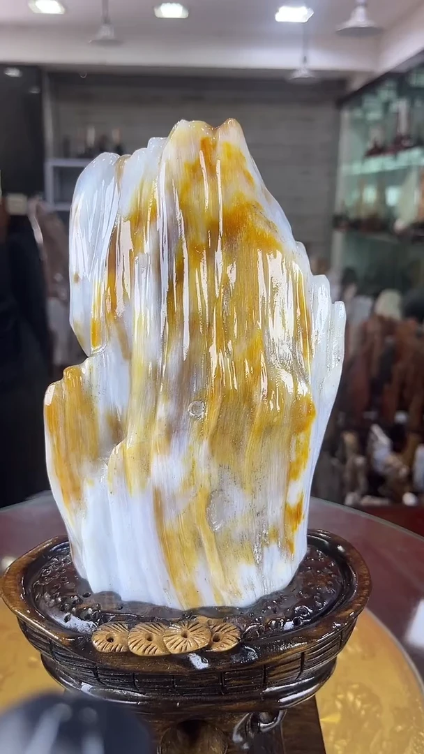 硅化玉珠宝奇石未镶嵌缅甸天然树化玉