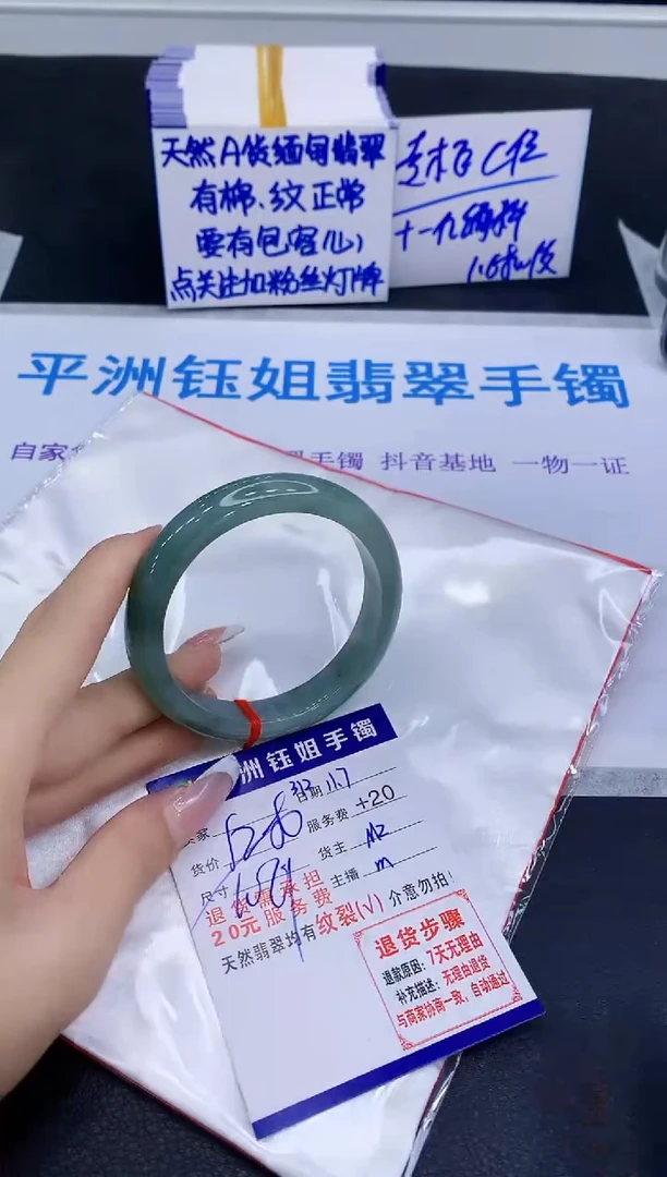 未镶嵌手镯翡翠111111
