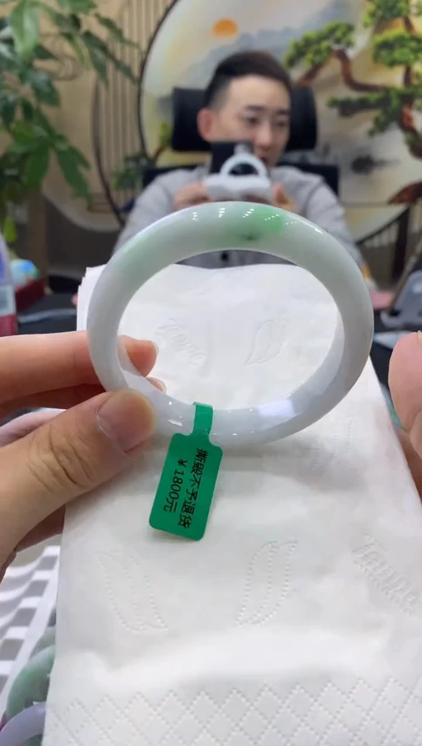 未镶嵌手镯翡翠7353