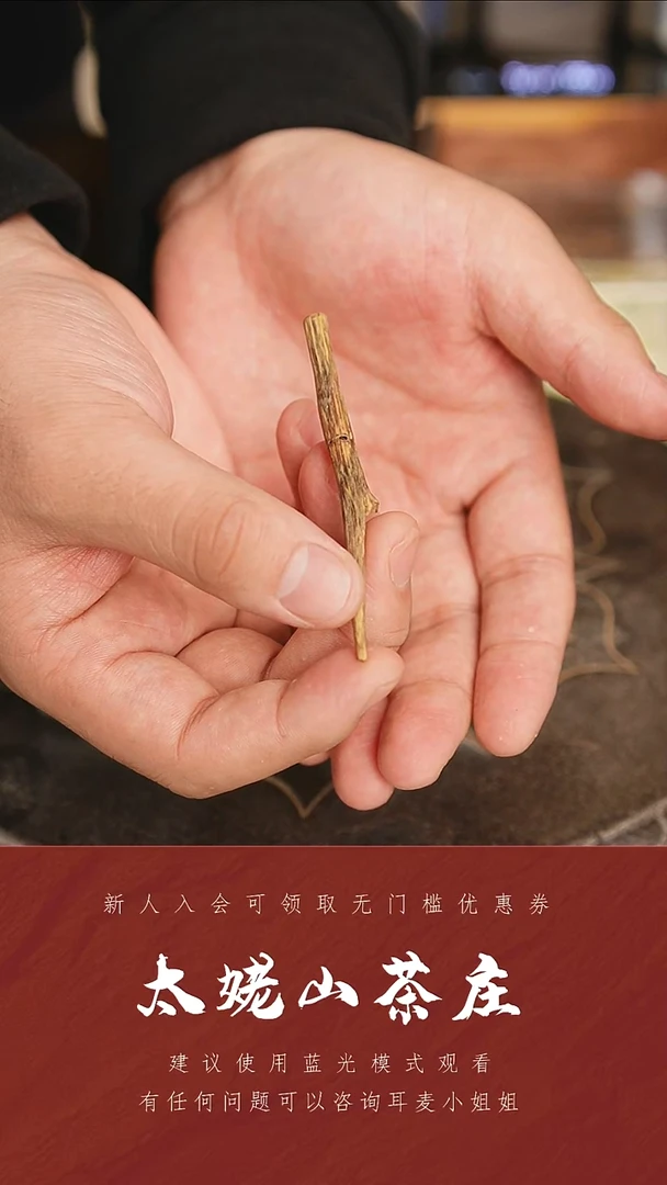 木【新品】摆件8-1.5g*1根-太姥山茶庄
