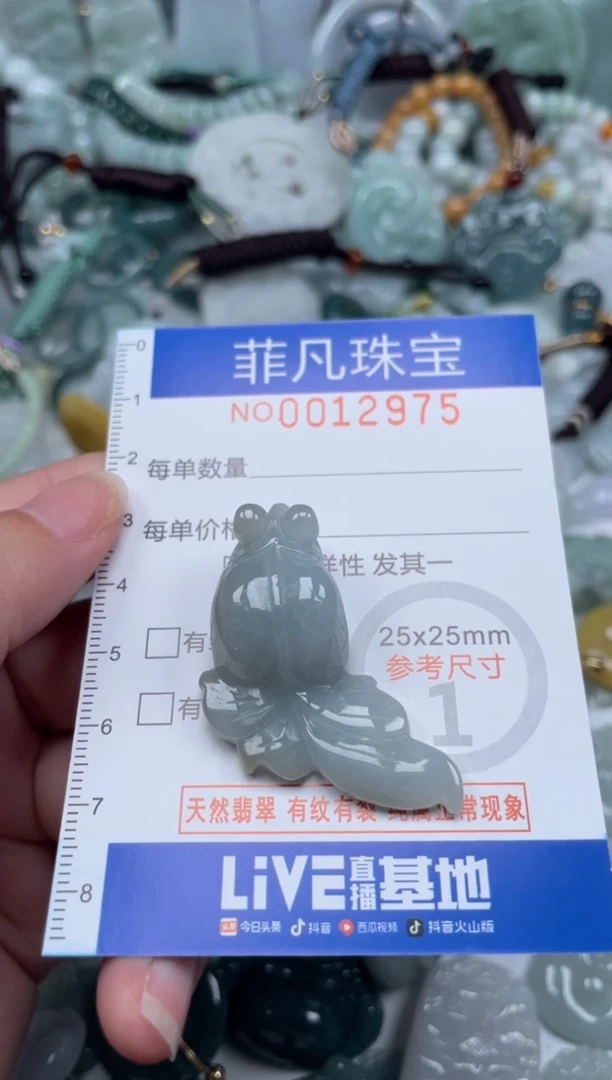 颈饰未镶嵌翡翠12975