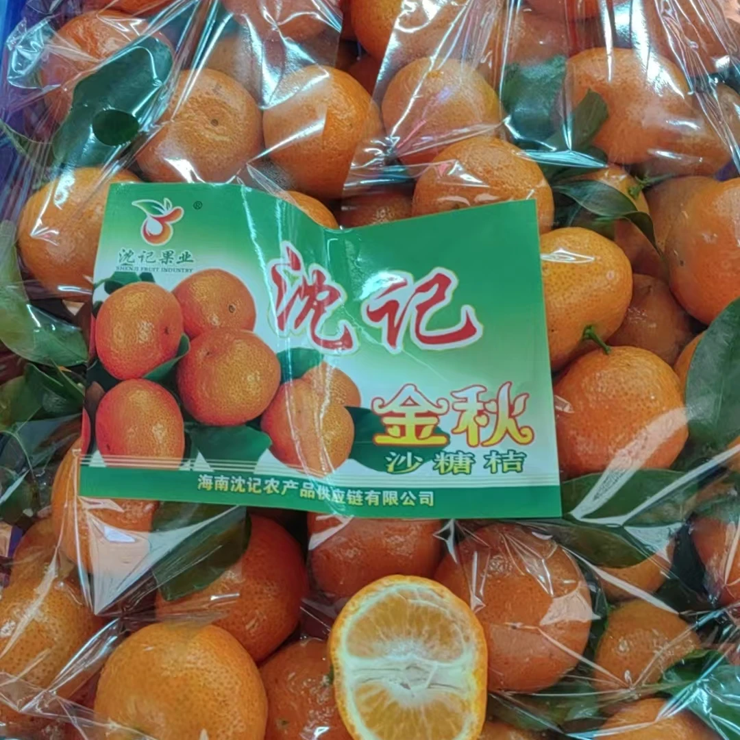 广西砂糖橘约5斤广西壮族自治区