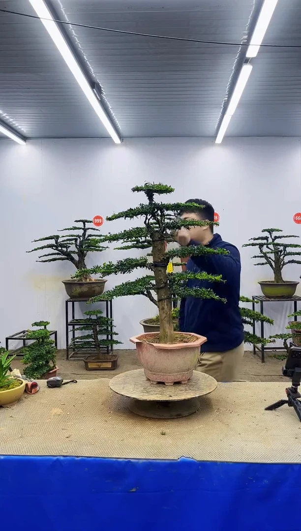 以实际为准一物一拍，所见即所得