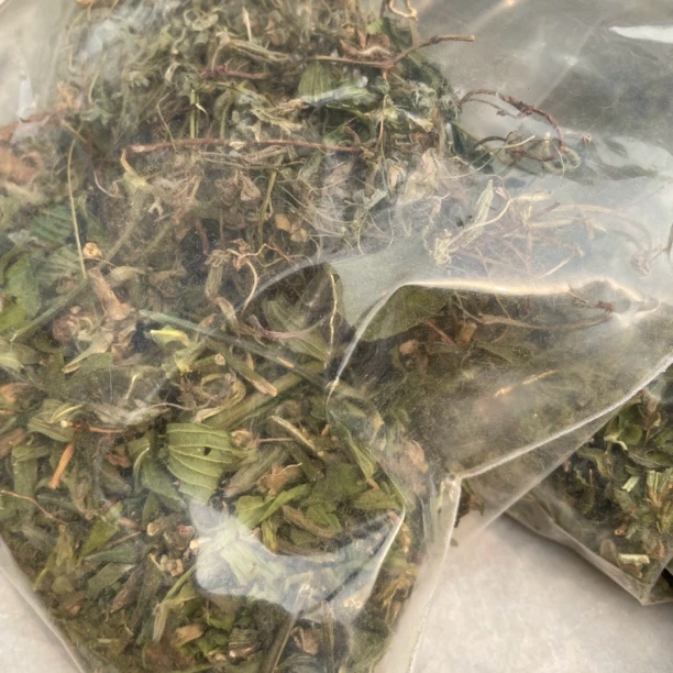 大山土特产 ~ 化石三宝【茶】