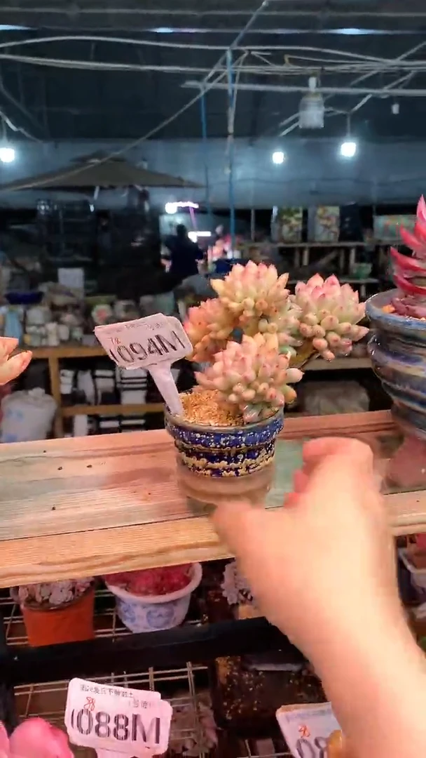 【闪购商品】094MMM