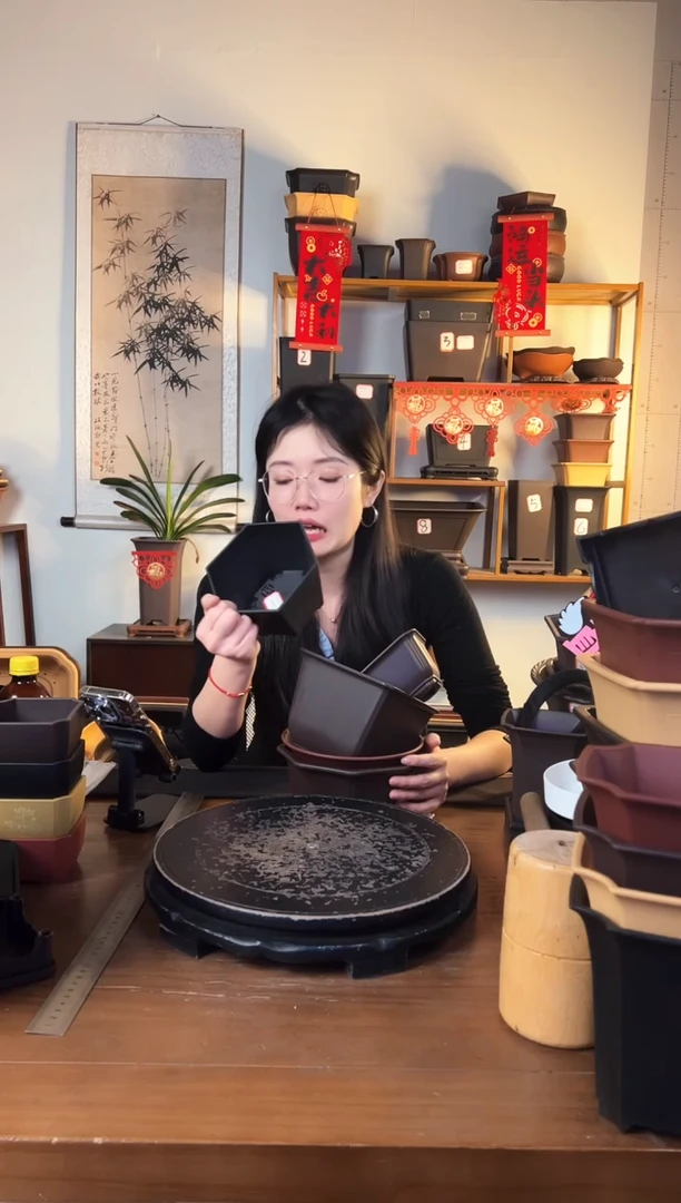 【闪购商品】树脂5只紫檀色组合