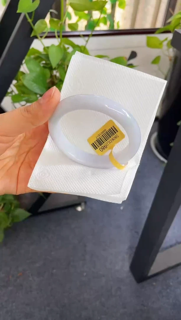 未镶嵌手镯翡翠015-58.9