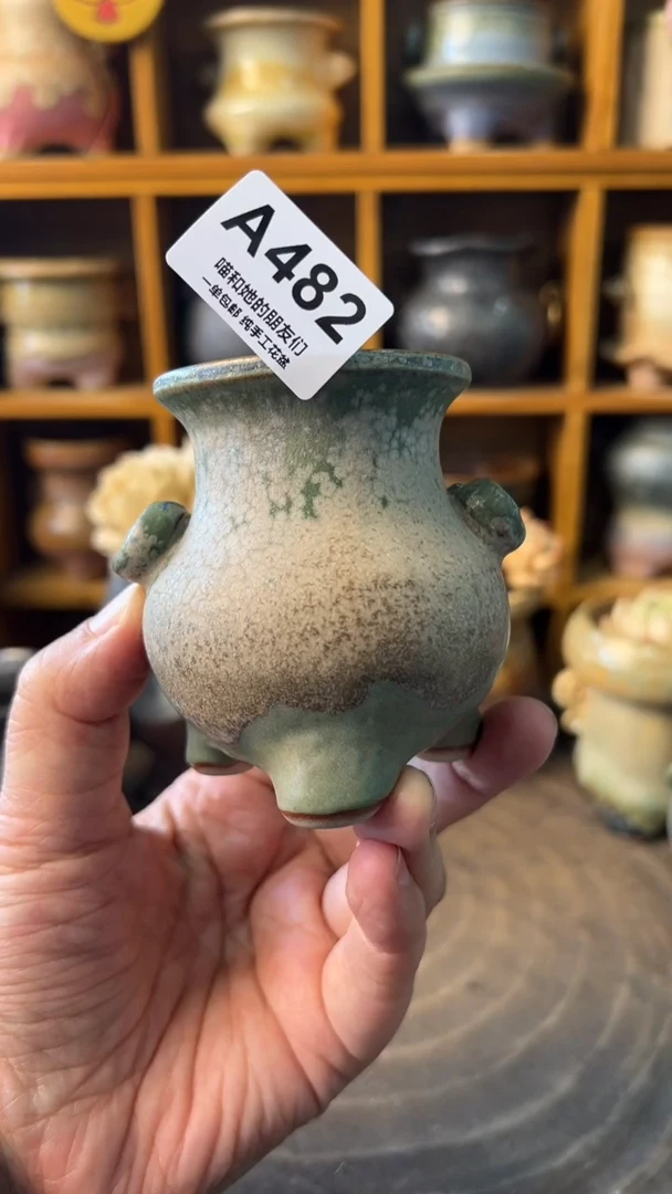 482 内口4.5【多肉花盆多肉盆】