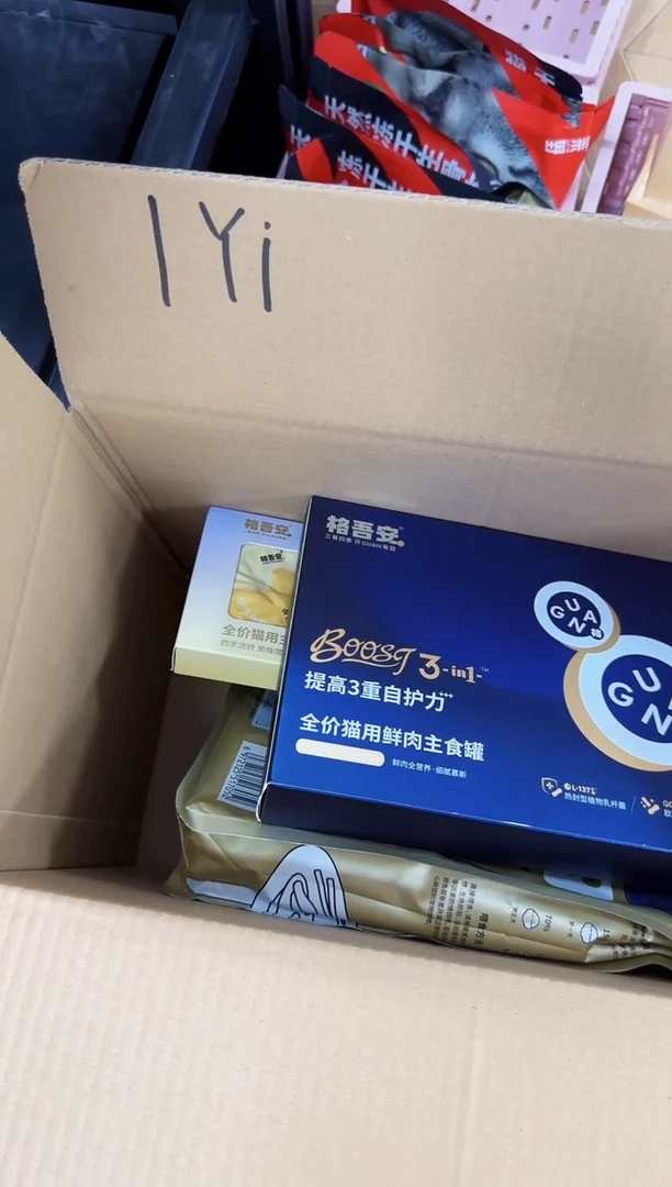 1*i240小鬼定向 1yi宝宝