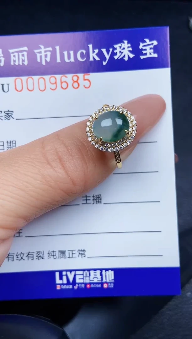 翡翠银S925镶嵌颈饰9685