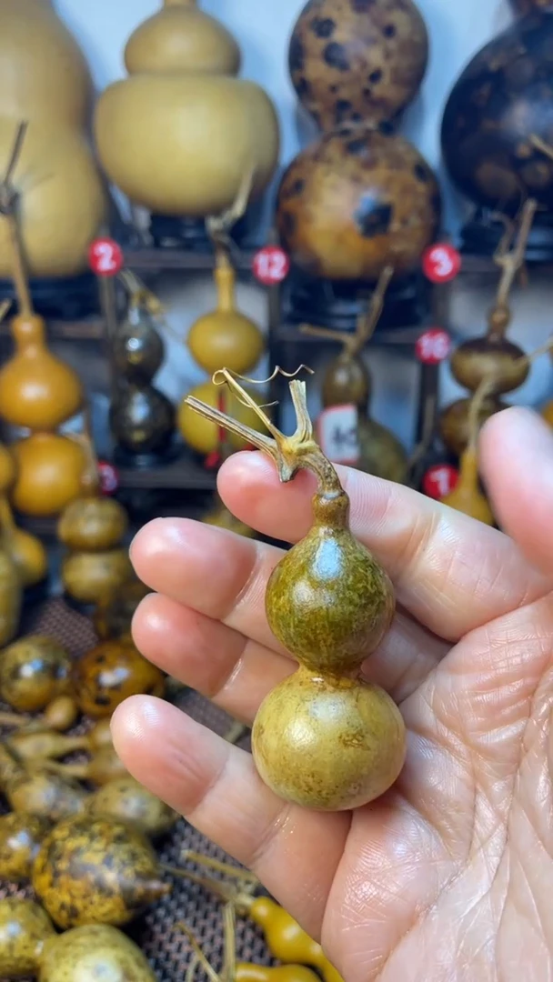 葫芦葫芦葫芦葫芦葫芦