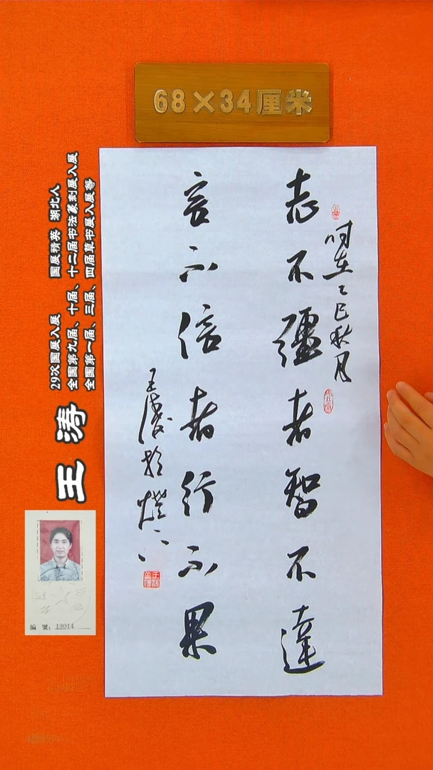 书法133R王涛书法作品