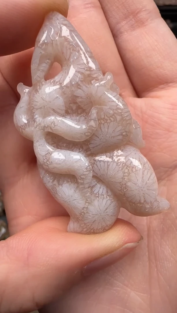 硅化珊瑚（珊瑚玉）未镶嵌颈饰146