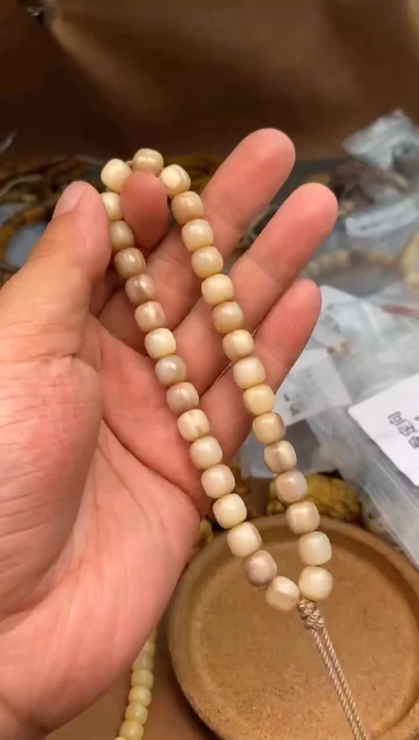 其他牛骨驼骨定向V481