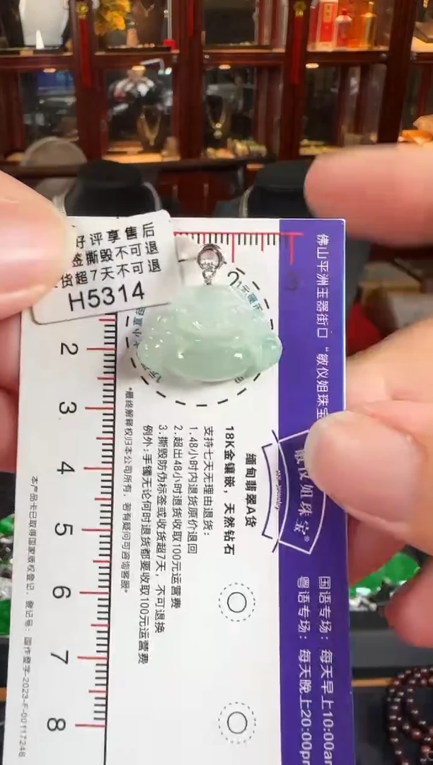 颈饰18K金镶嵌翡翠H5314冰绿佛公