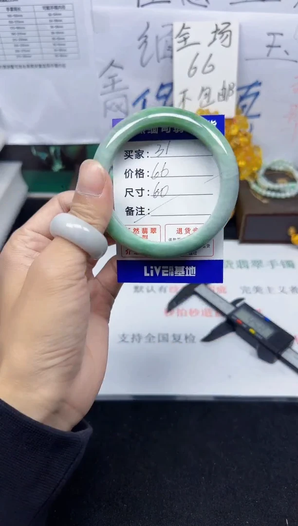 未镶嵌手镯翡翠31