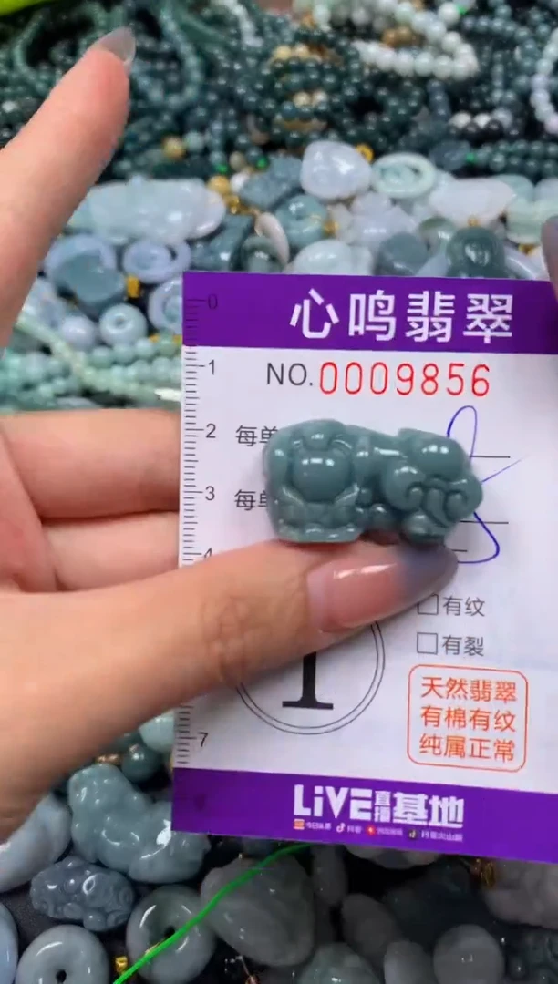 颈饰未镶嵌翡翠闪购009856