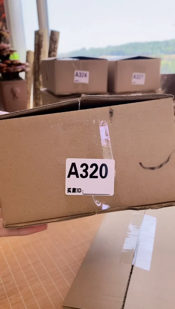 A320湘妃竹梅鹿竹茶具把玩一盒