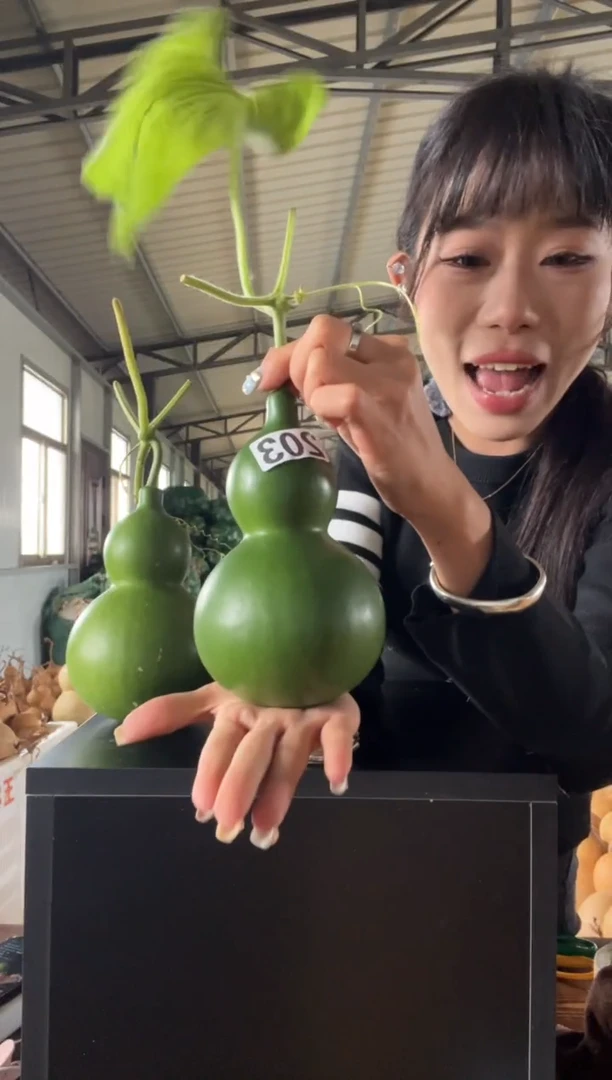 一*203天然葫芦摆件 一物一拍龙头不保售后