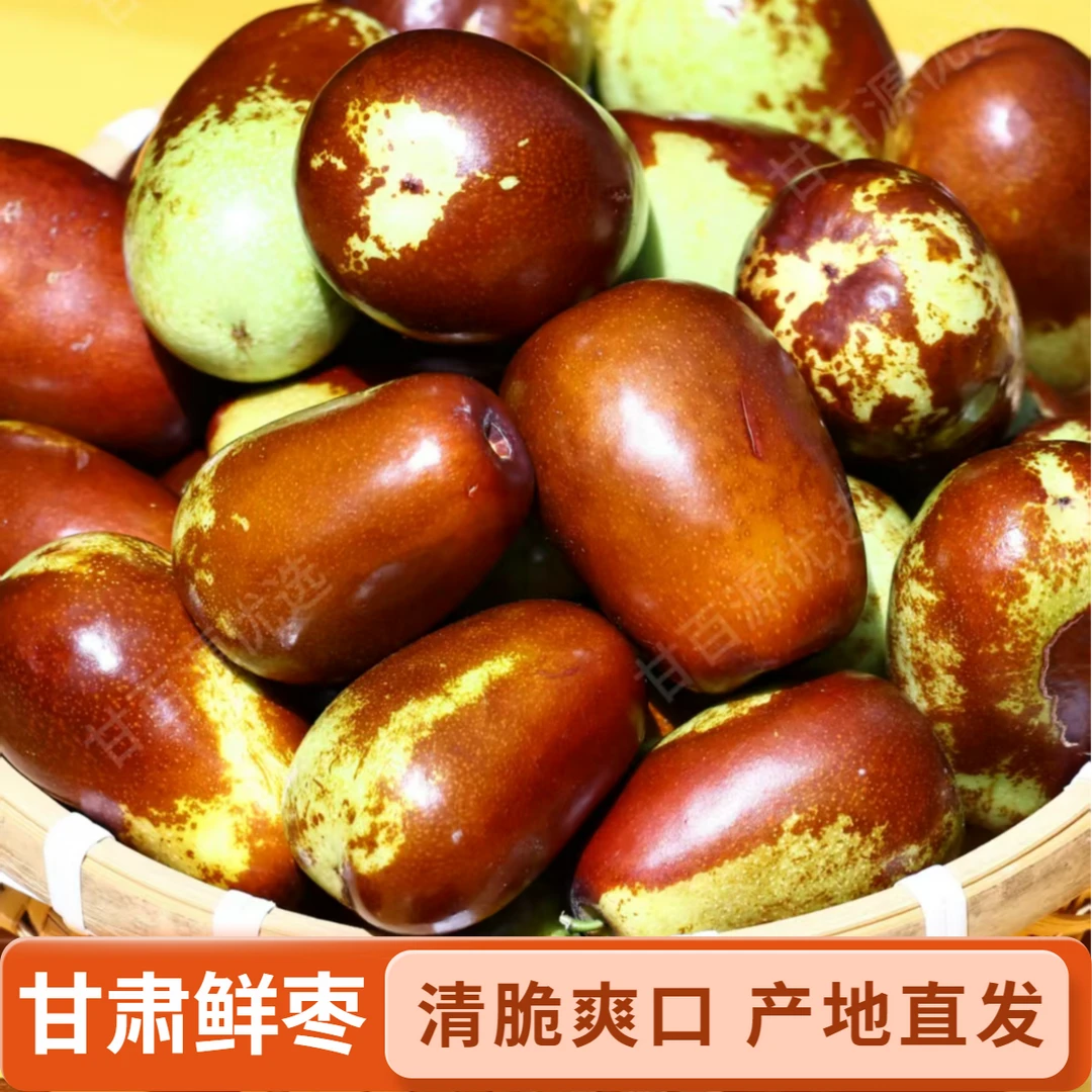 甘肃景泰鲜枣新鲜水果脆甜应季现摘产地直发