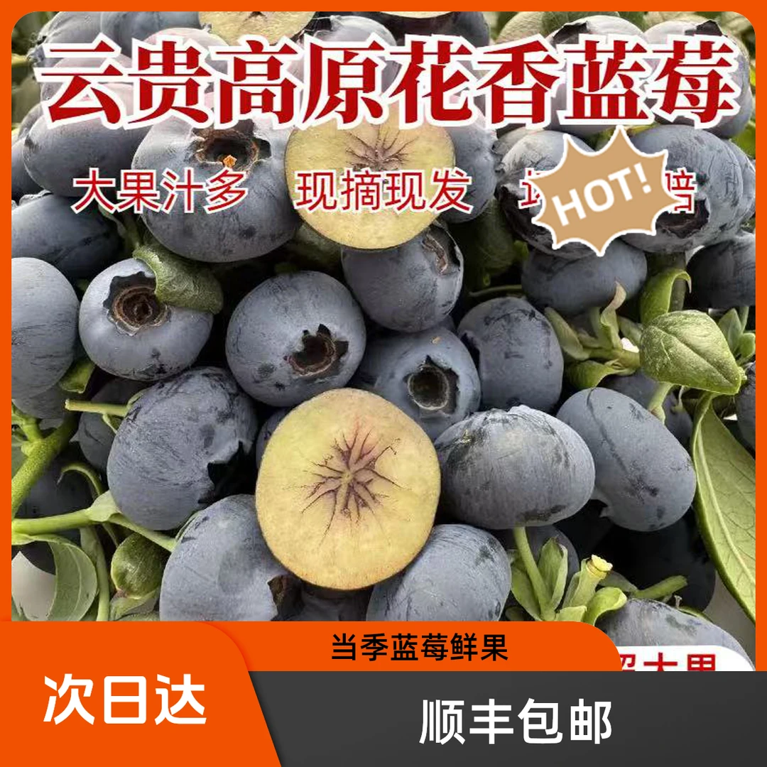 【顺丰包邮】6盒云南花香蓝莓大果顺丰到家125g/盒12-15mmD云南省新鲜云南省