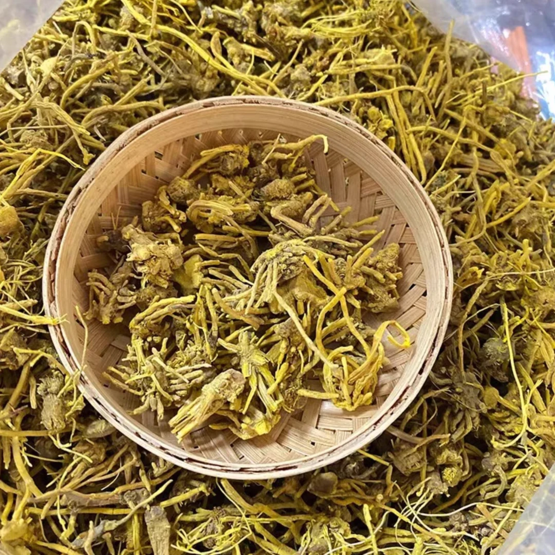中秋好物【龙须石斛】下山货高端滋补品金龙石斛参煲汤泡酒泡水