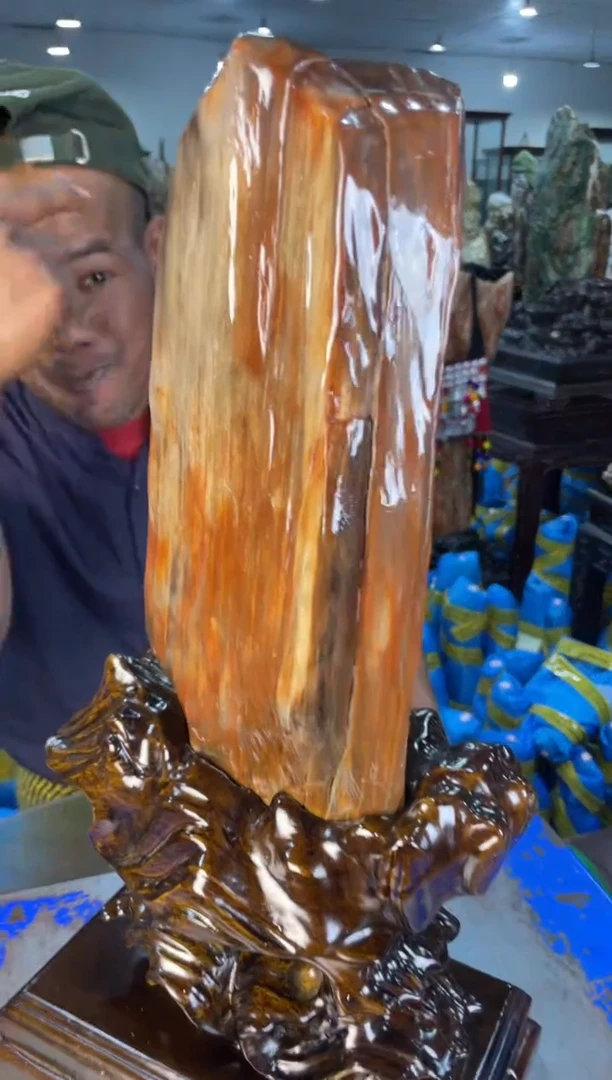 未镶嵌摆件硅化玉19
