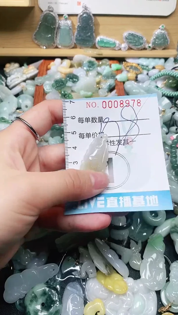 【闪购商品】翡翠颈饰未镶嵌闪购0008978