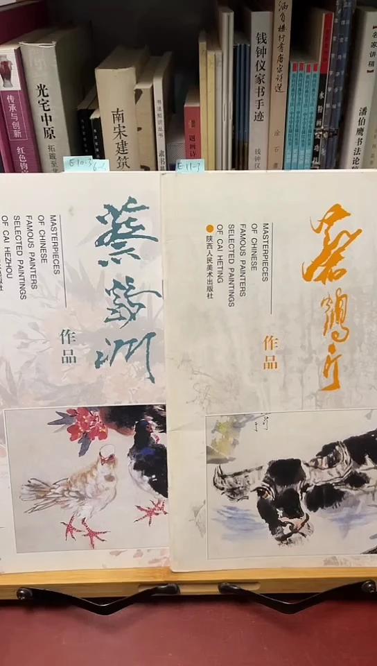 蔡鹤洲，蔡鹤丁  中国画名家作品精选两本