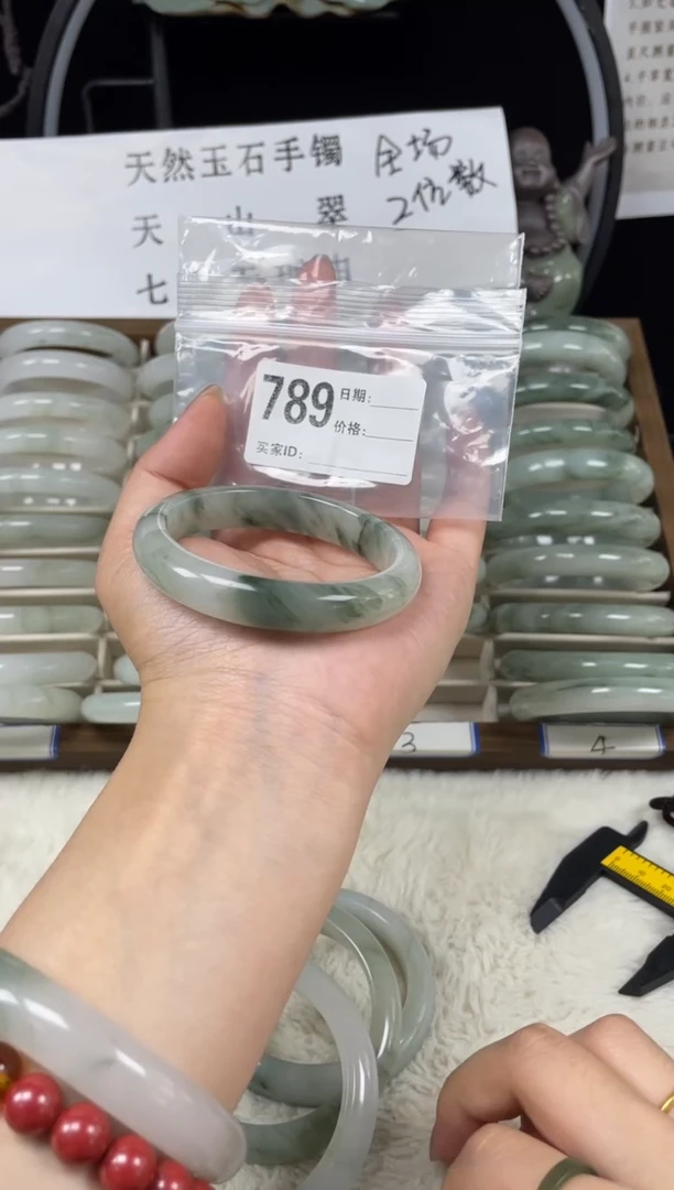 未镶嵌手镯石英质玉（天山翠）789