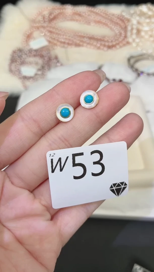 无925银多样性发一W53