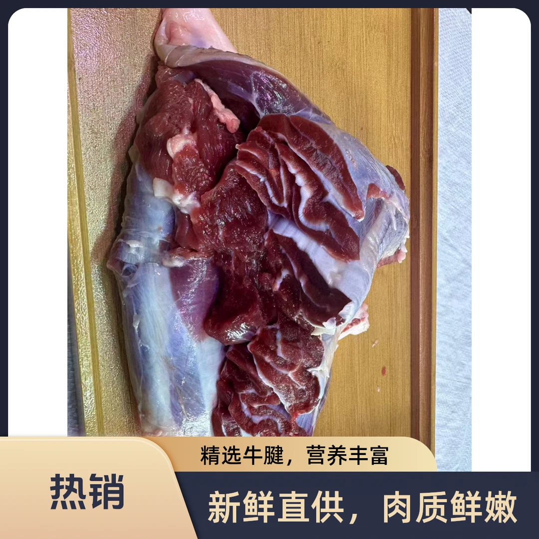 【牛腱肉】精品牛腱肉 红烧  卤牛肉  5斤顺丰包邮4