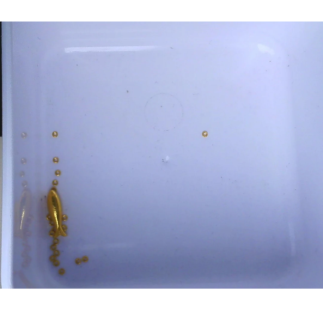 黄金足金小金 豆