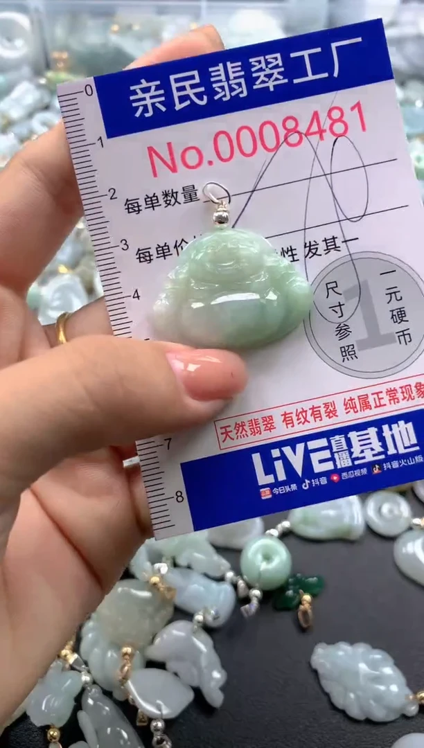 颈饰未镶嵌翡翠8481
