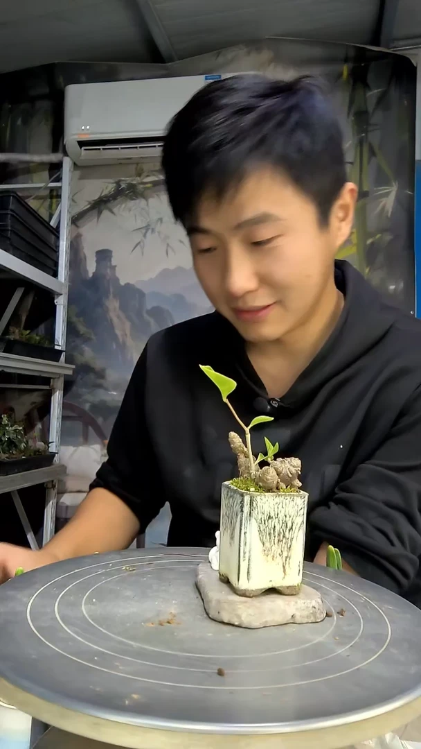短***娅中青园艺一物一拍花145