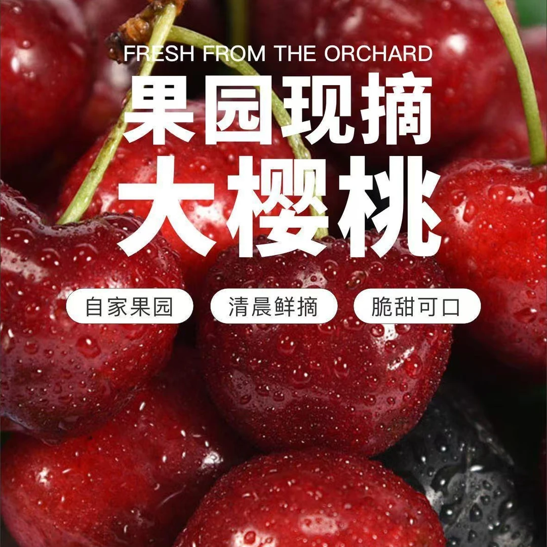 （送1斤）山东美早大樱桃当季水果2斤J-2J顺丰空运