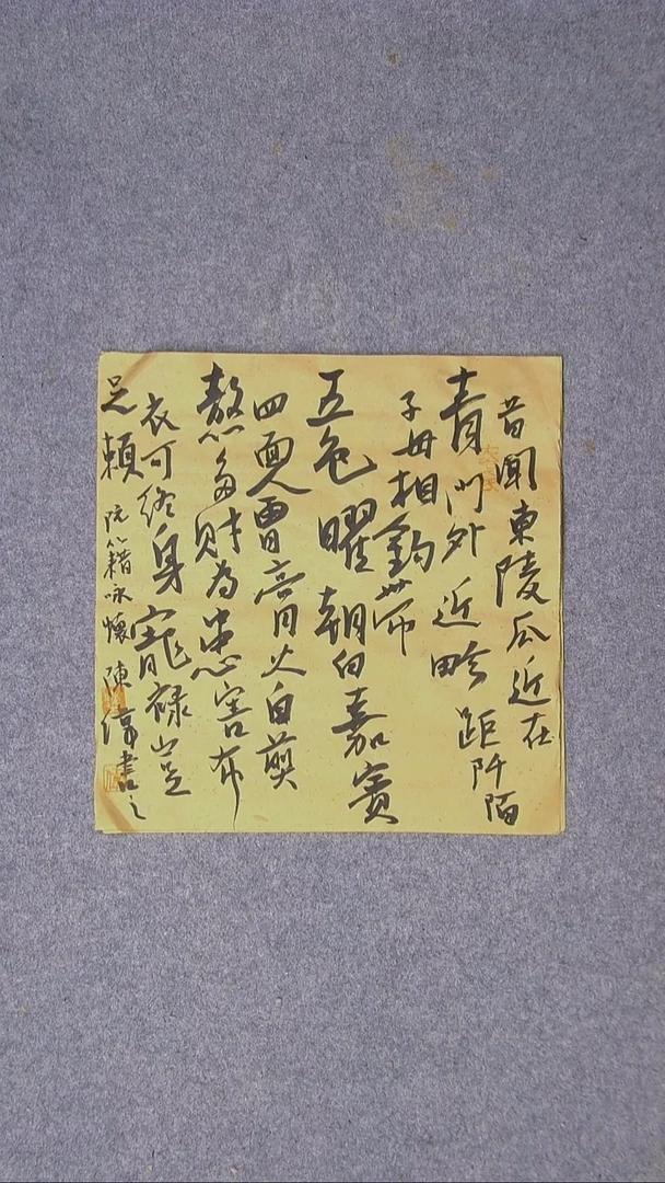 书法陈伟  湖北草书委员34*34尺寸