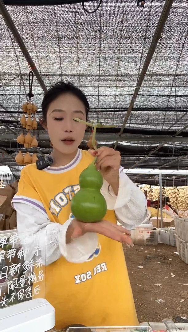 806天然葫芦摆件 一物一拍龙头不保售后