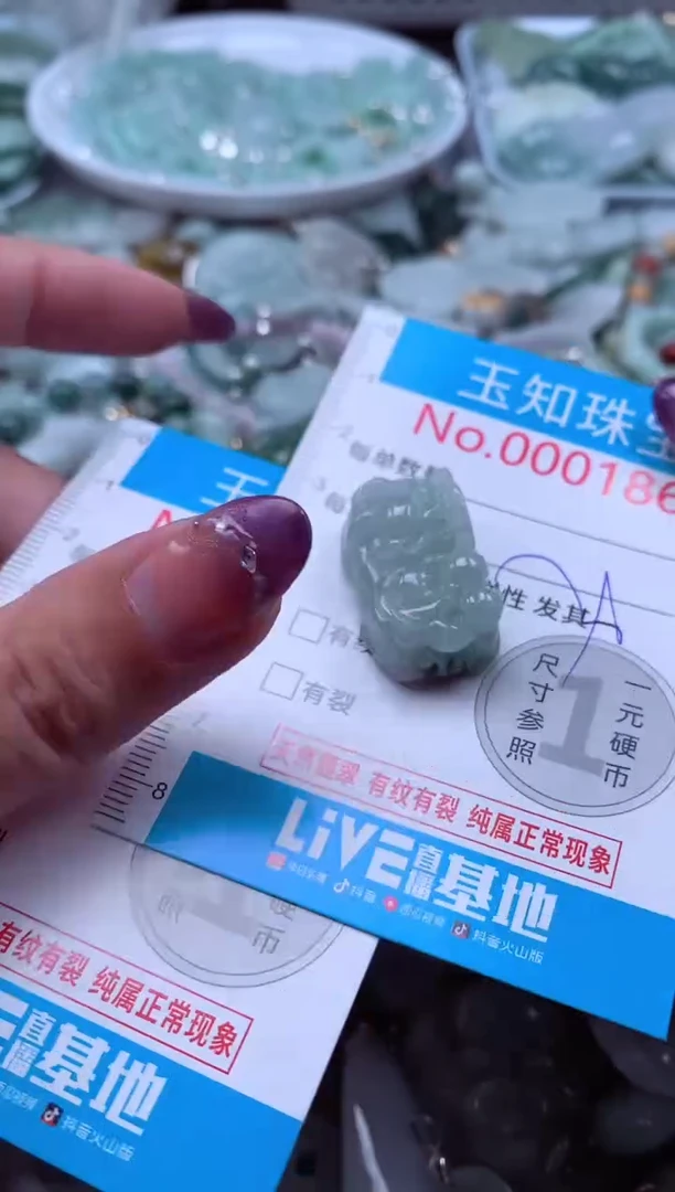 翡翠未镶嵌吊坠(不含链)1869