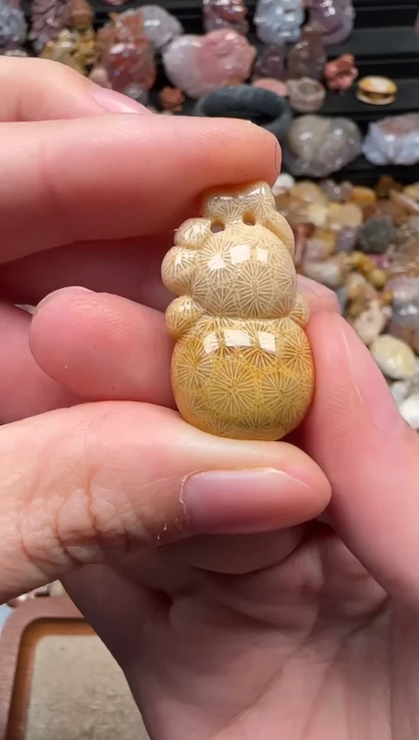 颈饰未镶嵌硅化珊瑚（珊瑚玉）691