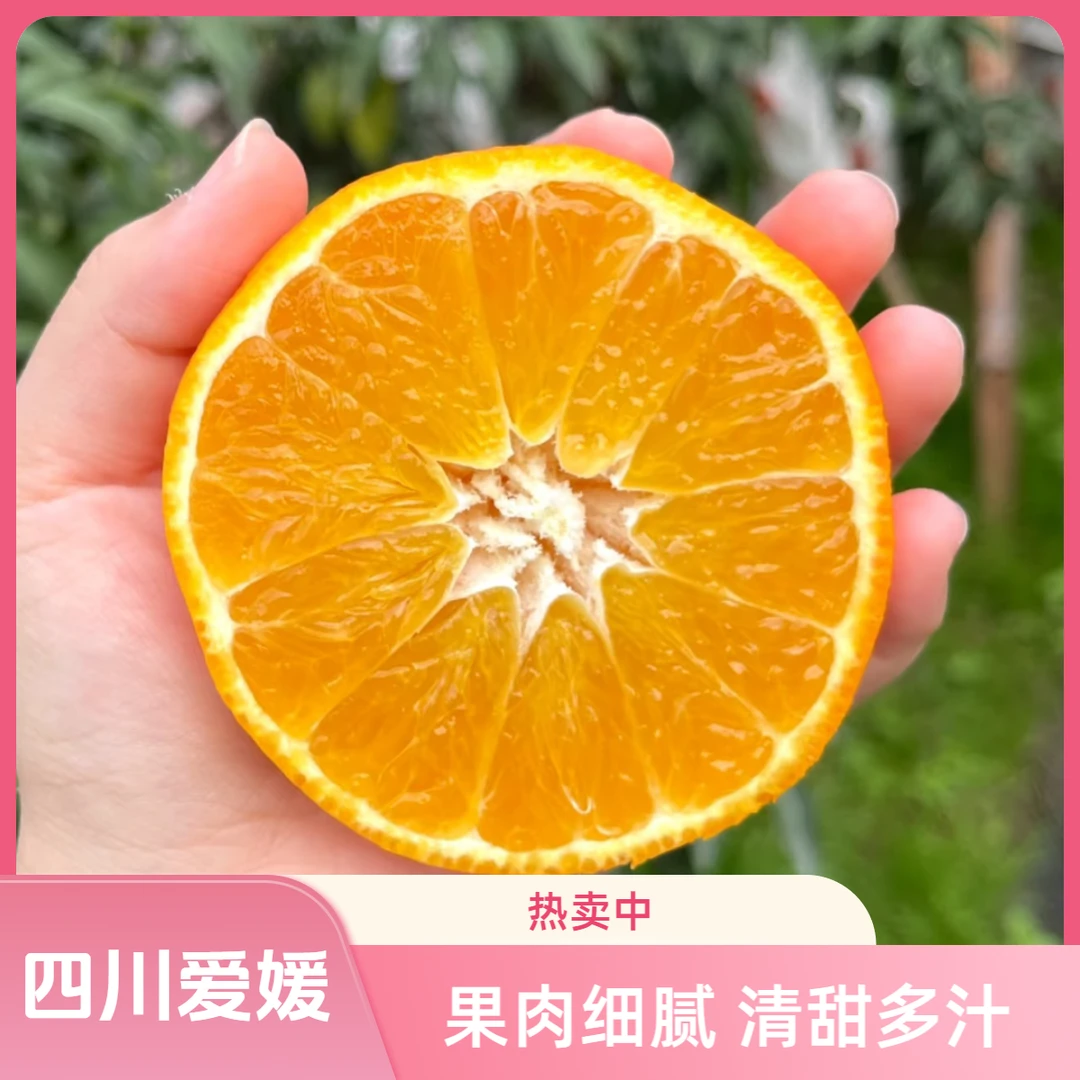 四川当季爱媛果冻橙爱媛38号果冻橙细腻化渣新鲜多汁11-2橙子