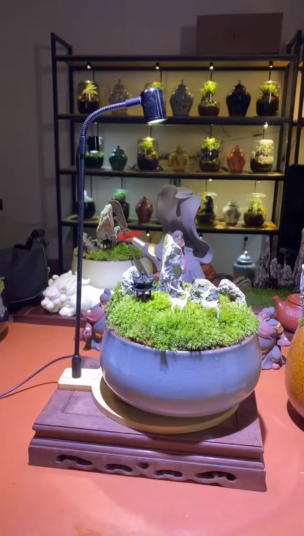 吉鑫福利精选福力