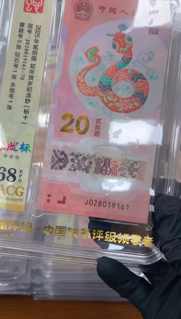 塑料 2025蛇钞 真钞 评级封装