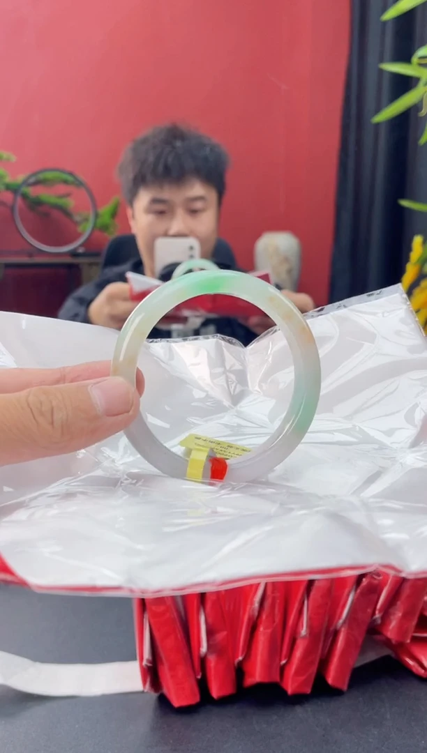 未镶嵌手镯翡翠4